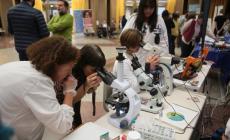 Professioni tecniche: chi lo ha detto che sono maschili?