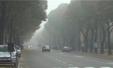 Mai autunno così caldo a Parma, minima record. Allerta gialla nella notte per la piena del Po - Video