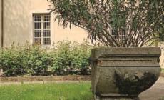 Giardini Gourmet: quattro walking tour fra verde e cucina