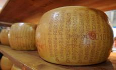 Parmigiano, nel 2017 è stimata una crescita di produzione del 5%
