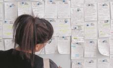 Offerte di lavoro: i nuovi annunci di Unimpiego