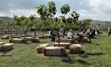 Torna il Rural Festival, dove la biodiversità agricola è di casa 