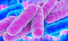 Bresso, terza vittima per legionella in tre giorni