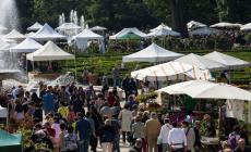 Fiori, ma anche vinile: la top 5 del fine settimana nel Parmense