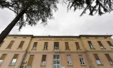 Punto da un grosso imenottero mentre raccoglie frutta dall'albero: choc anafilattico, è grave