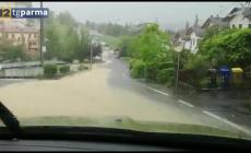Emergenza climatica, Valloni (Unipr): "Dati impressionanti" - Video
