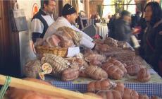 Novembre Porc: &egrave; iniziata a Sissa la staffetta pi&ugrave; golosa dell'anno - Video