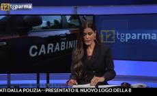 Da Parma a Bergamo per rubare: arrestati due moldavi - Video