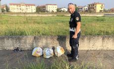 Preso e multato 'abbandonatore seriale' di rifiuti a Busseto