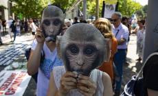 Modifica della viabilità domani per il corteo #Macachi Liberi