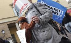 Sfila per il centro il corteo 'Macachi Liberi' - Le foto