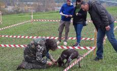 La fiera del  tartufo fa il pieno a Calestano