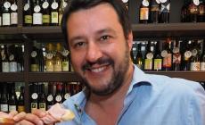 Salvini: "E ora il centrodestra riparta da Parma" 