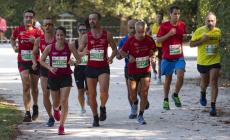 Cariparma Running,  la città è dei (6mila) podisti. Ecco chi c'era: le foto