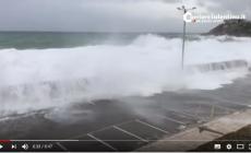 Maltempo, una violenta tromba d'aria a Porto Cesareo. Tanti danni   - Video