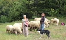 Mamma Rai 'adotta' le pastore d'Italia di Anna Kauber: su Raiuno nel 2020  
