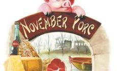 November Porc a Polesine