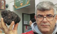 Sua maestà il tartufo di Fragno: boom di presenze