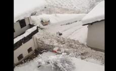 Valanga in val Martello, danneggiate case, masse neve e alberi sradicati - Video
