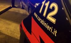 Un embrione in provetta trovato da un passante a Torino