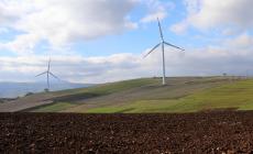 Il grande dilemma  dell'economia green