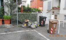 Rifiuti, 5 multe in via Venezia 