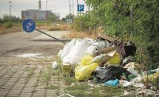 Cumuli di rifiuti, nutrie e incuria: Spip, desolazione e abbandono