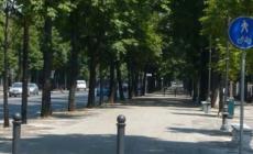 Verde, tutte le strade in cui sono previsti interventi. Potature in vista per Cittadella, parco Ducale e Stradone