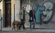 Truman - Aspettando la morte con toni lievi