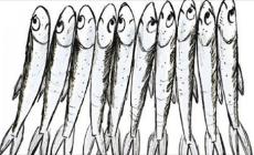 Post choc del prof agli  alunni: se vi becco tra le sardine è  l'inferno