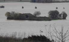 La piena del Po fa paura (da lunedì in Emilia). Cesari: a Sorbolo Mezzani martedì