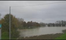 Po in grande crescita, acqua nelle golene aperte di Roccabianca e Polesine - Video 