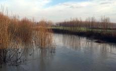 Enza, foto-cronaca di una allerta piena