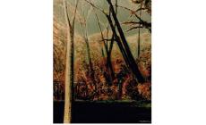 OLTRE LA GIOVINEZZA... mostra antologica di MIRKO GHINELLI