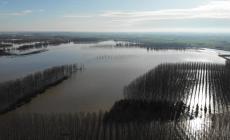 La piena del Po nella zona di Gramignazzo - Video 
