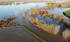 La rottura dell'arginello in località Stagno: video (e foto) del Po visti dal drone. 