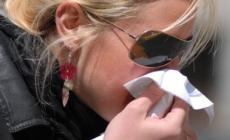 Allergie, una App per controllare i pollini