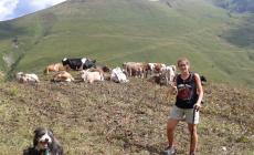 Elisa, sulle Alpi per proteggere i greggi da lupi e orsi