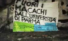Animalisti sul tetto dell'università: 'Stop agli studi sui macachi'. Research4Life: 'Protesta folle'