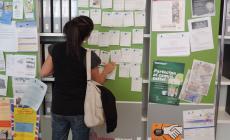 Offerte di lavoro a cura di Publiedi 