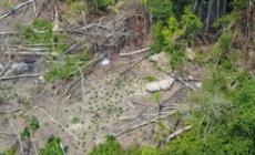 Un gruppo isolato di indios individuato grazie a un drone