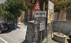 Evita cane ma va fuori strada con auto, 2 morti e 2 feriti 