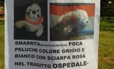 Cercasi foca disperatamente