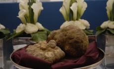 Va a Hong Kong un tartufo battuto a 6600 euro