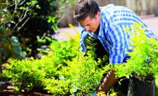 I suggerimenti sempre validi