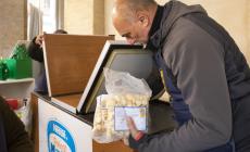 Anolini solidali esauriti a Parma, Fidenza e Noceto  - Foto