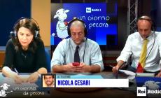 Liaison con la Boschi? Cesari smentisce (anche) a Radio Rai: 'Amo Alessia, la mia fidanzata. Che è mora...' - Video