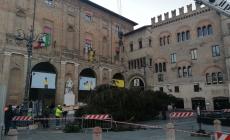 E' proprio Natale: l'albero arriva in piazza (per essere installato) - Video