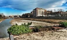 "Spariscono piantine sul ponte di Mezzo"