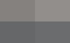 Navetta gratuita: il Labirinto &egrave; sempre pi&ugrave; vicino alla citt&agrave;